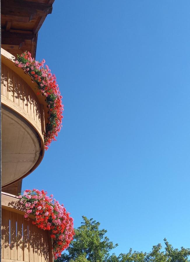 Ferienwohnung Al Truciolo Andalo Exterior foto
